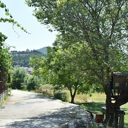Mtm * Trebinje